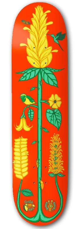 Drawing Boards Costa Rica Golden Shrimp Skateboard Deck - 8.25"