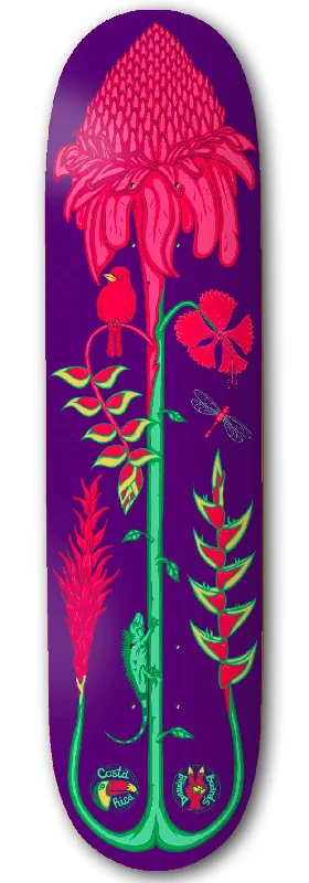 Drawing Boards Costa Rica Torch Ginger Skateboard Deck - 8.37"