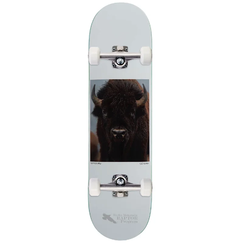 Zero Buffalo Sandoval Skateboard Complete - 8.25"